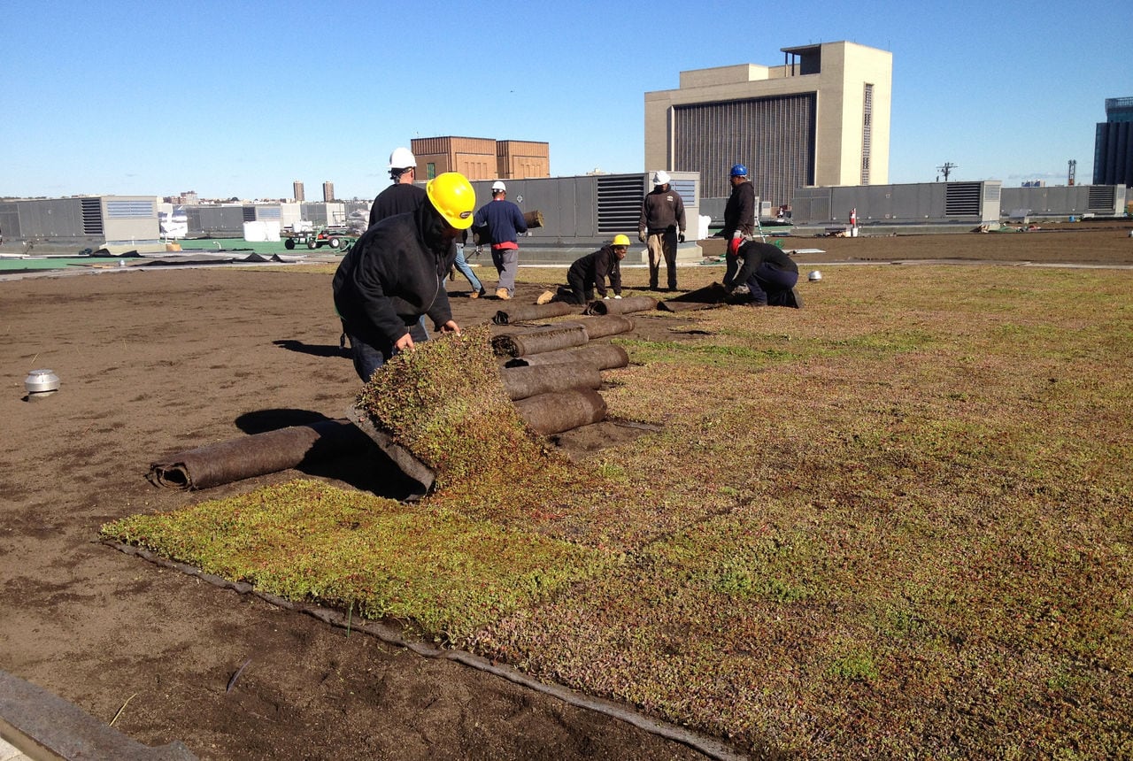 Vegetated Roof Installation for Stormwater Management on Javits Center in NYC