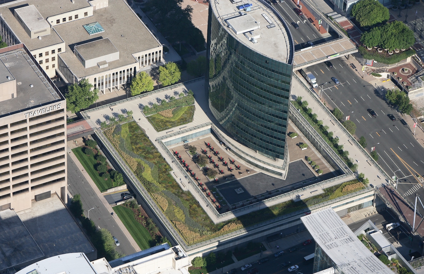 Urban green rooftop garden with trees, bushes, shrubs in the city