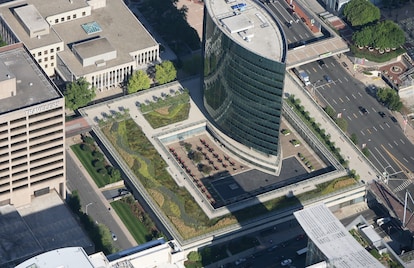 Urban green rooftop garden with trees, bushes, shrubs in the city