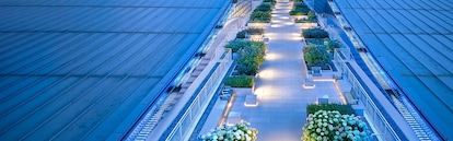 David L. Lawrence Convention Center ParaGREEN SBS Teranap Parapro Pavers