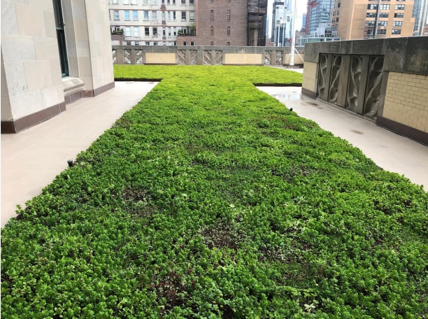 vegetated roof on a balcony of a building. Vegetated roof on a balcony of a building.
