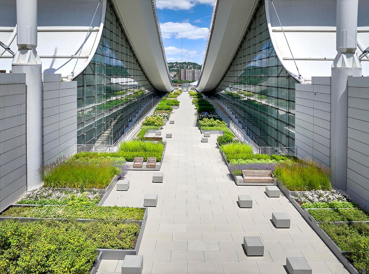 Commercial building showing a vegetated roof with Siplast products